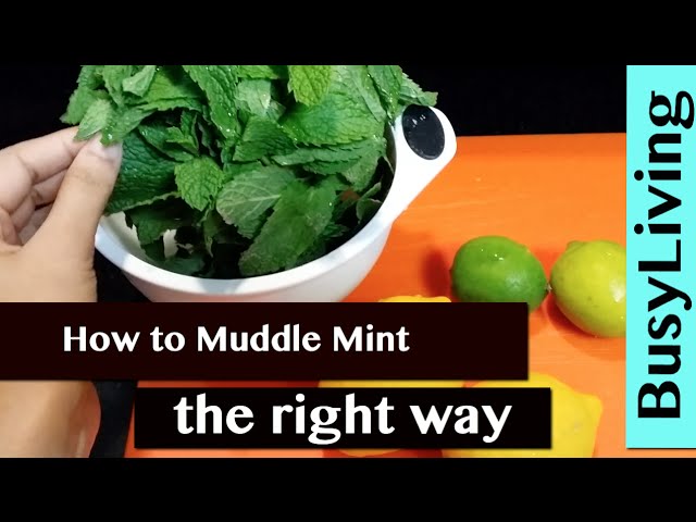 how to muddle mint