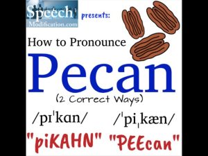 how to pronounce pecan