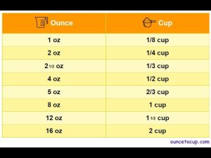 how many cups is 16.9 oz