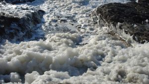 what is sea foam