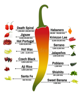 are poblano peppers hot