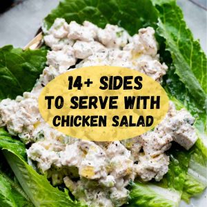 what to serve with chicken salad