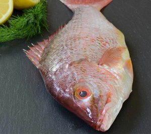 whats a good tasting fish that’s not too expensive
