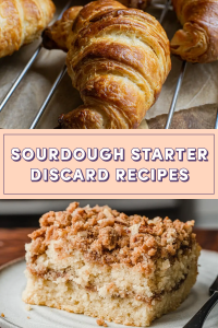 what to make with sourdough starter