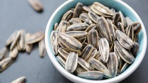 is it bad to eat sunflower seed shells