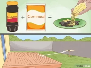 how to get rid of flies outdoors