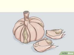 how do you know if garlic is bad