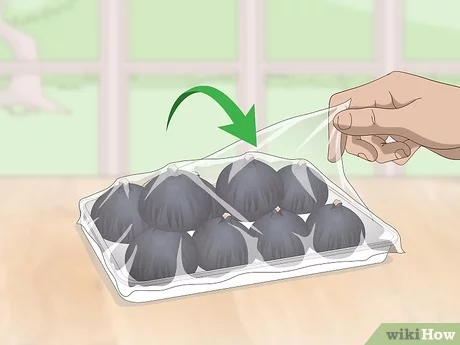 how to store fresh figs