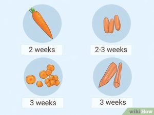 are carrots still good if they are rubbery