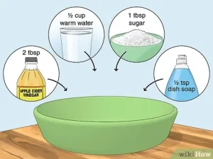 how to get rid of gnats inside the house