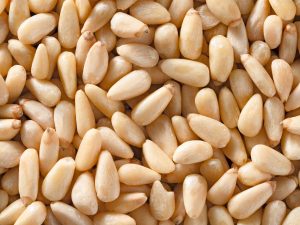 what are pine nuts
