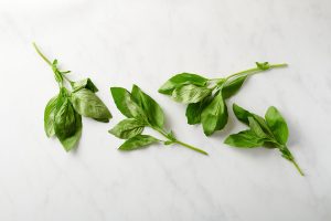 what is in basil