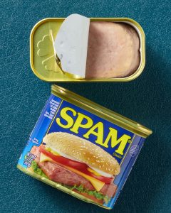 what is in spam