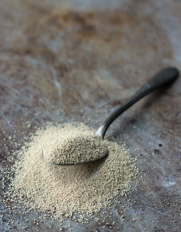 what does yeast look like