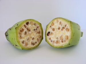 what did bananas used to look like