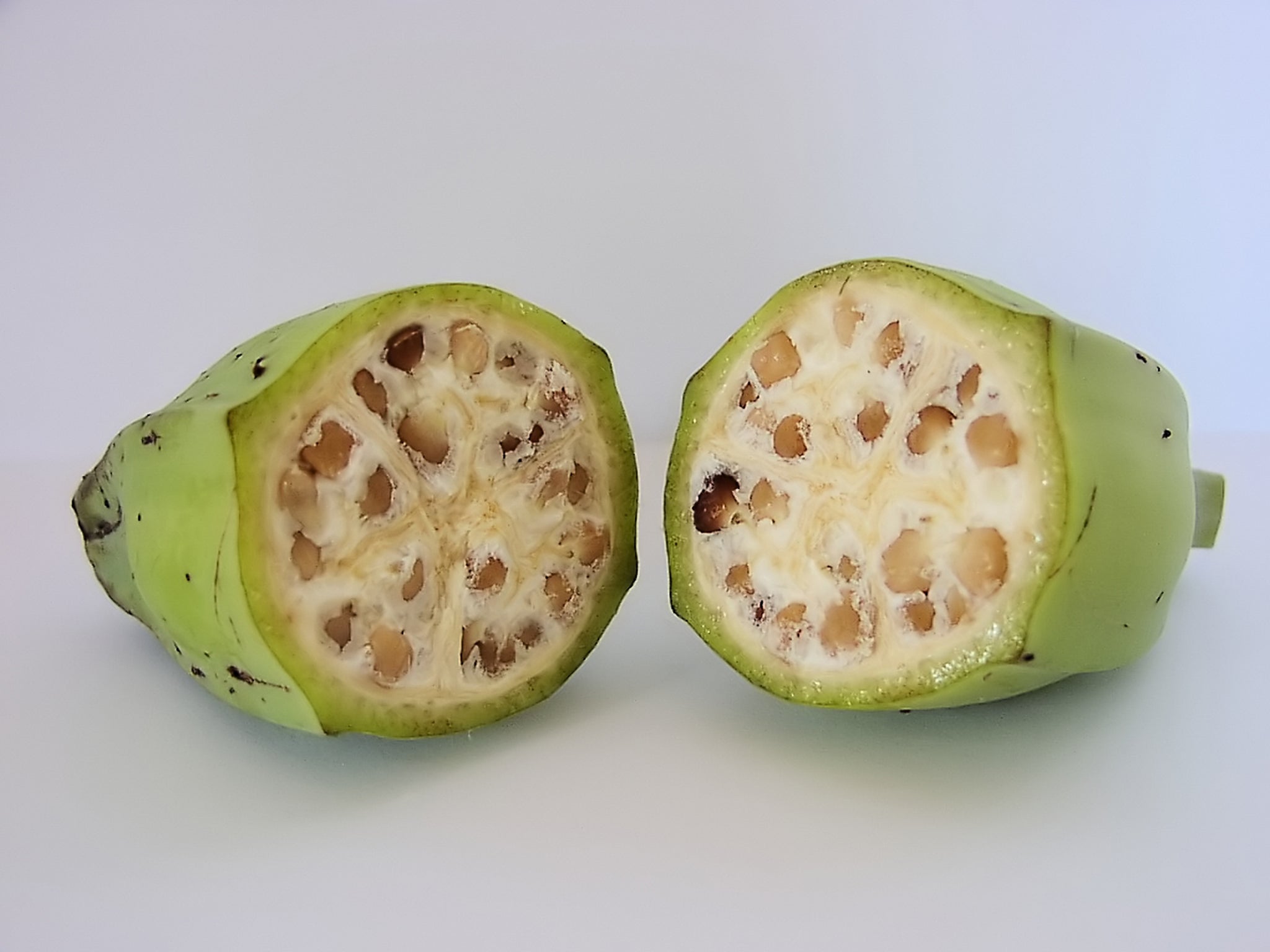 what did bananas used to look like