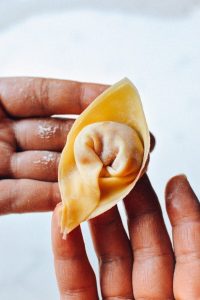 how to wrap a wonton dumpling