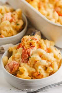 Mastering How to Make Lobster Mac and Cheese: Recipes & Tips